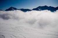 _MG_5237.jpg