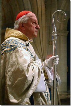 Cardenal_Rodé