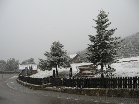Acceso Parque