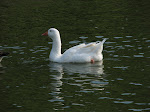 IMG_2829.JPG