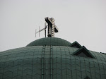 IMG_3515.JPG