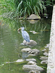 IMG_3366.JPG