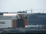 IMG_3507.JPG