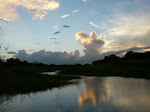 P1010918.JPG