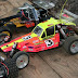 vrc029Large.jpg