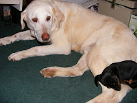 DSCF1903.JPG