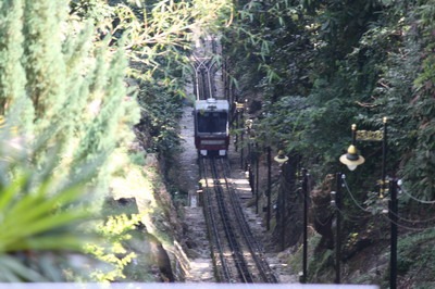 [IMG_6813_resize3.jpg]