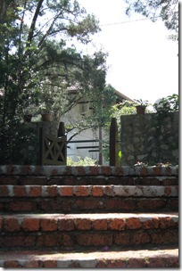 David Brown’s Restaurant & Tea Terrace by zoom2see.com
