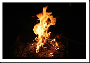 Canon EOS 350D IMG_2590
