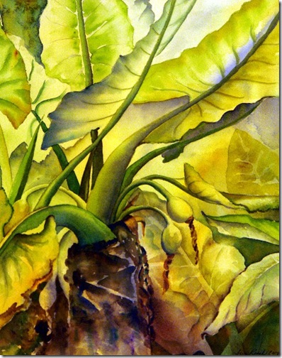 3rd Place - Under the Leaves - Sue Roach(2)