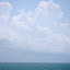 DSC_0100.jpg