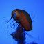 DSC_0291.JPG