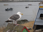 Oregon, Glory of The Northwest Slideshow