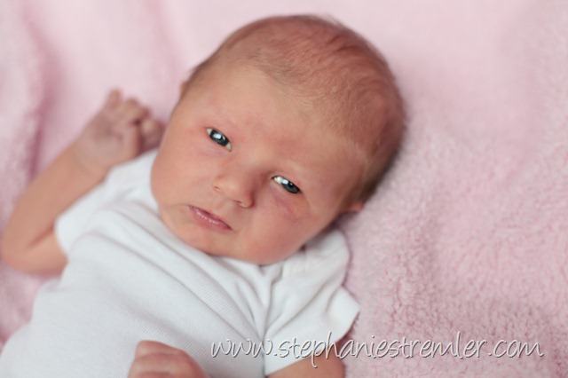 [EversonBabyPhotographerN5-4-10Brielle-108[2].jpg]