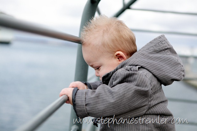 [BellinghamFamilyPhotographerB1-09-10Logan-109[2].jpg]
