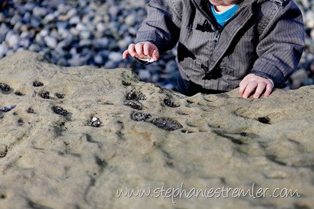 [BellinghamFamilyPhotographerB1-09-10Logan-114[2].jpg]