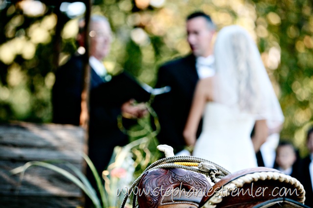 [Wedding9-12-09Sarah&RobFerndalePhotographer-123[2].jpg]