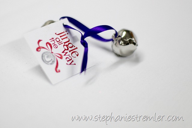 [LyndenWeddingPhotographer12-19-09Ben&Missy-101[2].jpg]