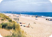 Great Beaches & Countryside