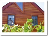 Stunning Log Cabin Locations