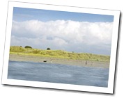 Coastal and Countryside Parks