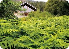 Romantic Cabins Romantic Cabins