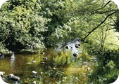 Picture Postcard Settings