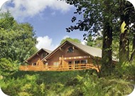 Secluded Log Cabin Parks