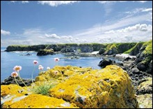 Eyemouth Perfect Holiday Park Location