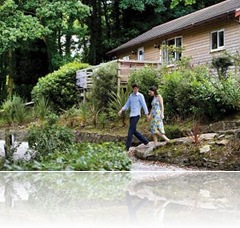 Holiday Log Cabin Rental Cornwall