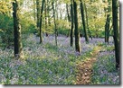 Stunning Park Locations