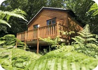 Stunning Lodge and Log Cabin Accommodation