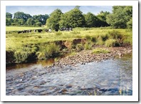 Beuatiful Areas for Peace and Quiet