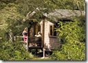 200 Stunning Lodge Park Locations