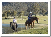 Enjoy a Horse Riding Experience