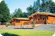 Wide Choice of Amazing Log Cabin Accommodation