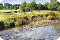 Chillout and Explore the Stunning Countryside