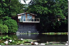Stunning Lodges Hidden in the Woodlands