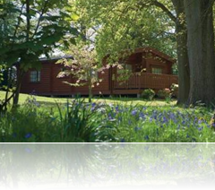 Honeymoon Log Cabins Honeymoon Log Cabins