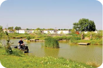 Peaceful Holiday Park Setting with Static Caravan Accommodation