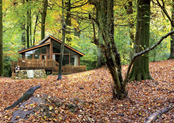 Stunning Woodland and Countryside Retreats