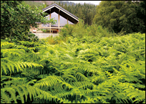 Stunning Log Cabins in Beautiful Areas throughout Perthshire