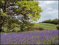 Sywell Country Park