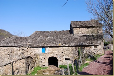14-Rapinale 14-Rapinale