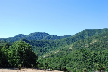 32-M.Carzolano 32-M.Carzolano