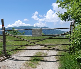 37-sotto M.te Avorgnolo 37-sotto M.te Avorgnolo
