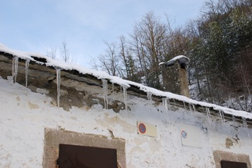 canonica canonica