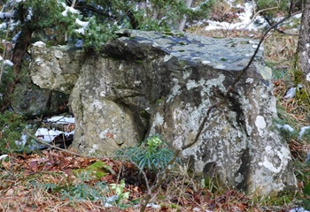orso orso