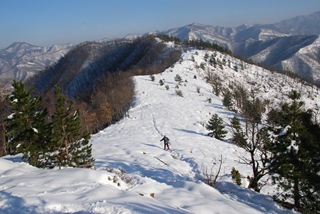 crinale crinale