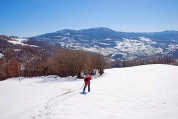 prato prato